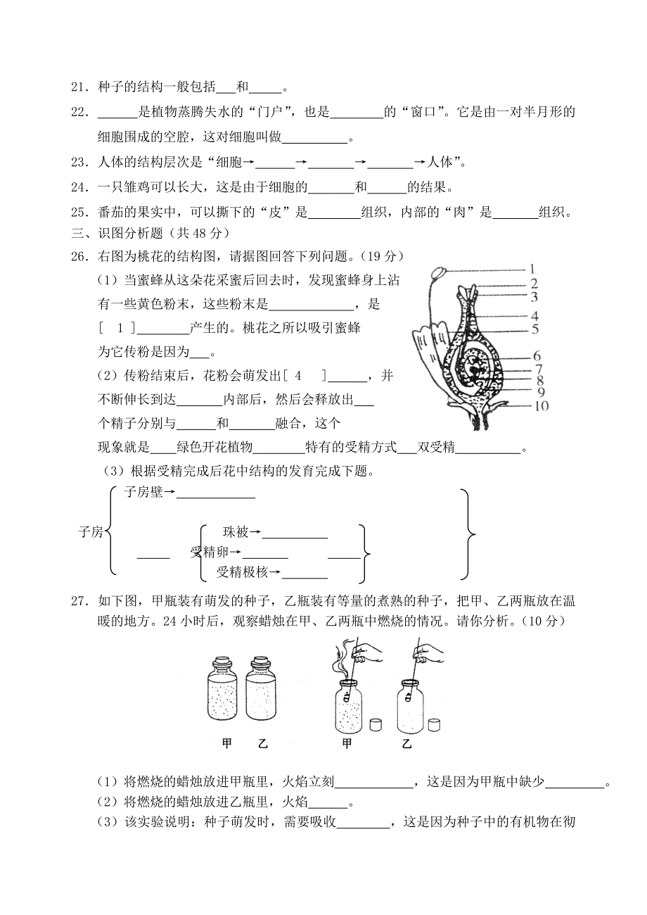 2010－2011学年七年级生物第一学期期末教学质量检测 人教新课标版_第3页