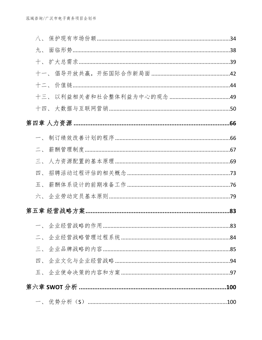 广汉市电子商务项目企划书_第2页