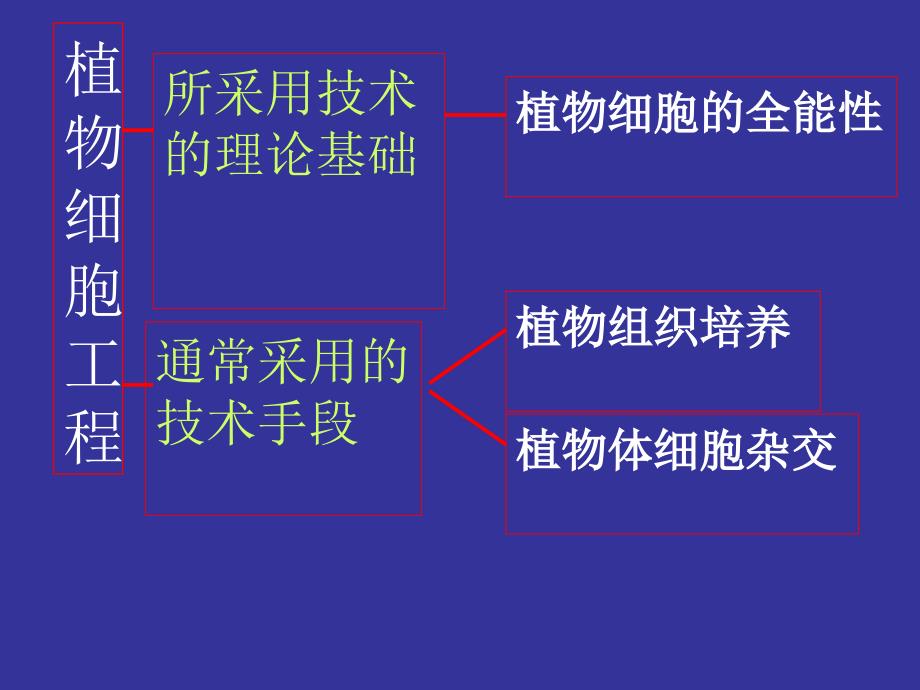 动物细胞工程下学期新人教版_第1页