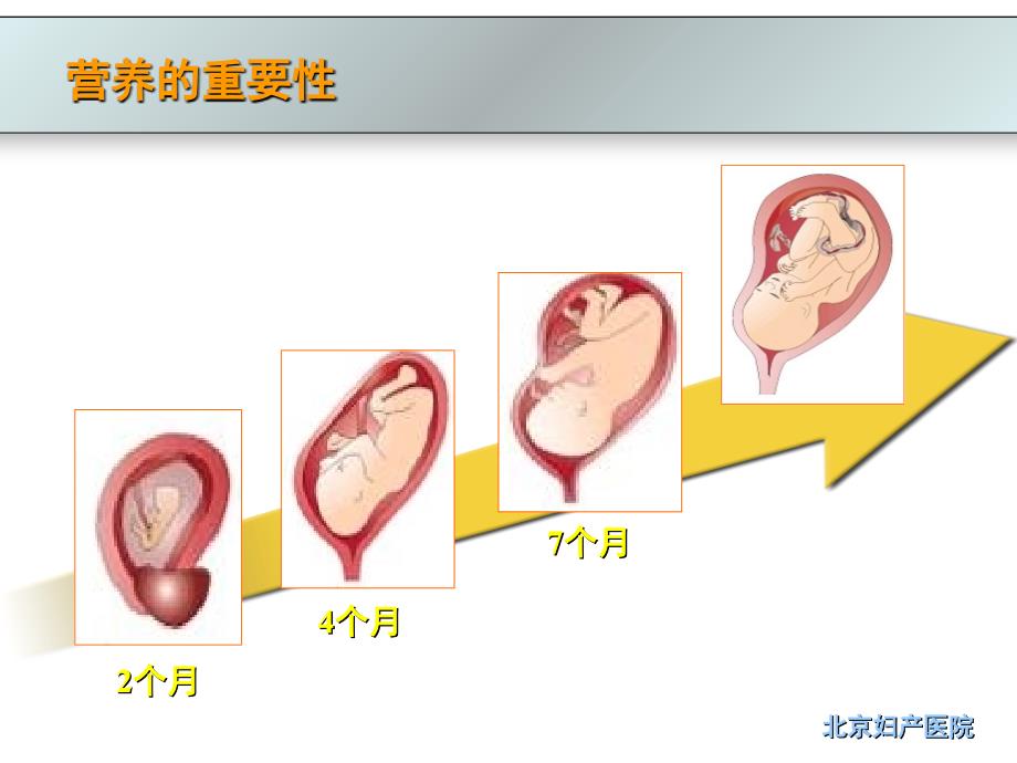 孕期营养(208-12-20)_第3页