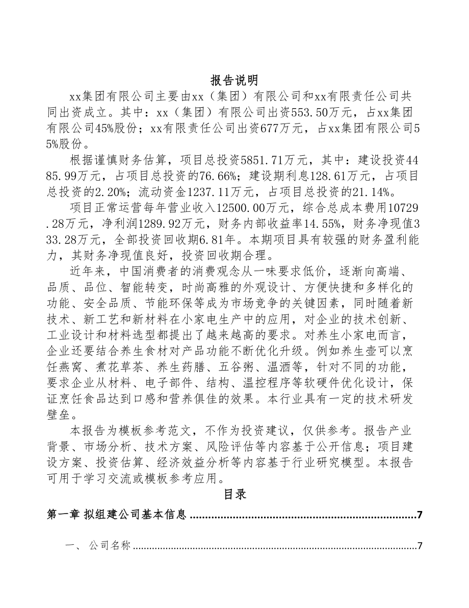 辽宁关于成立厨房小家电公司可行性研究报告(DOC 74页)_第2页