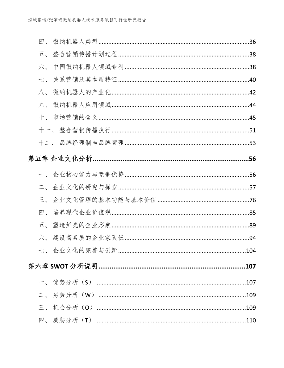 张家港微纳机器人技术服务项目可行性研究报告_第3页