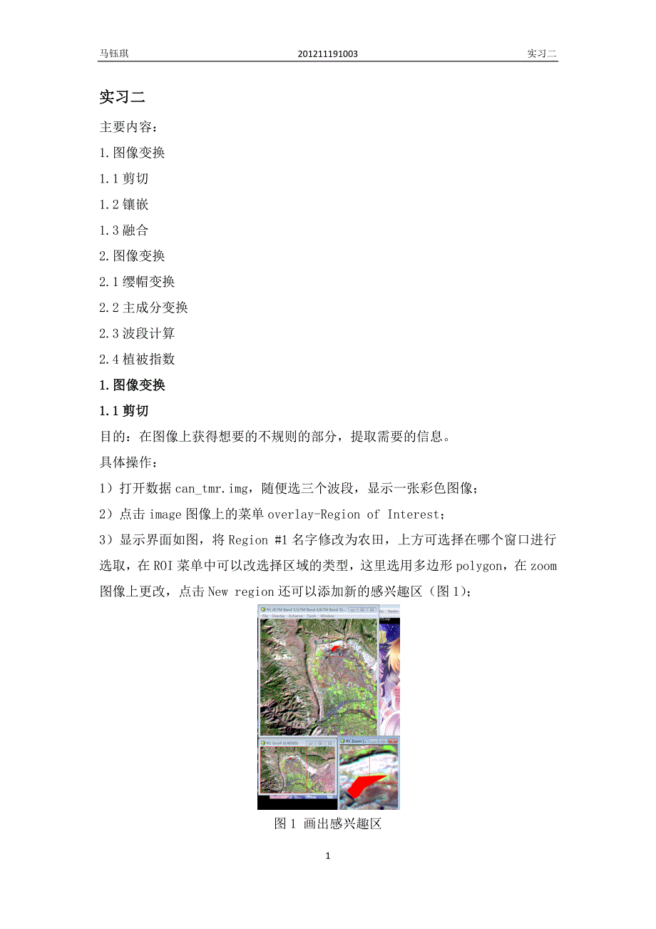 EDVI操作课堂作业2.docx_第1页