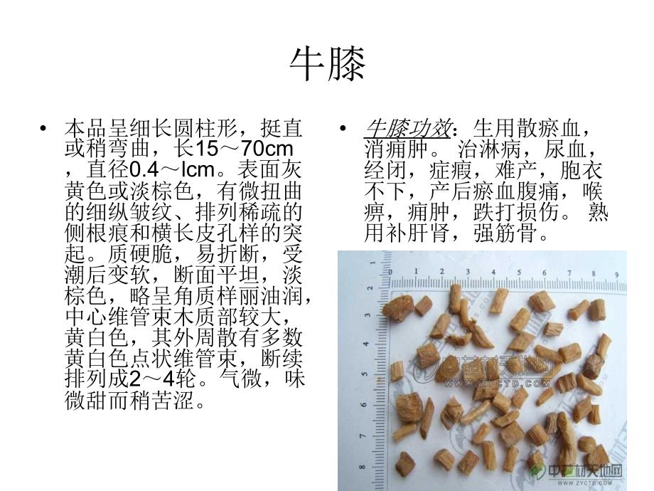 温泉泡池药材(1)知识分享_第2页