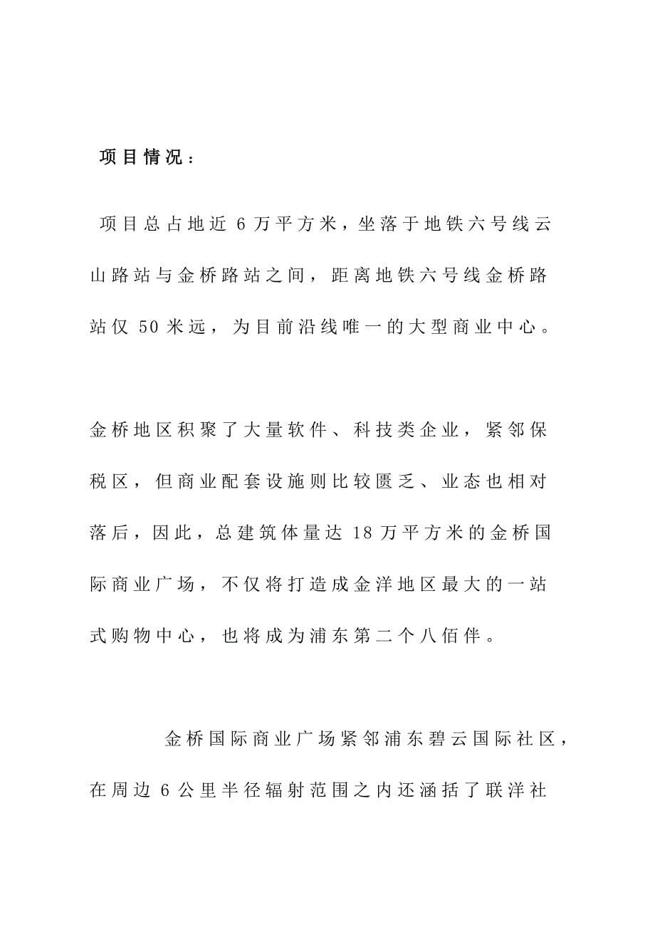 上海金桥国际商业广场市场调查报告_第5页