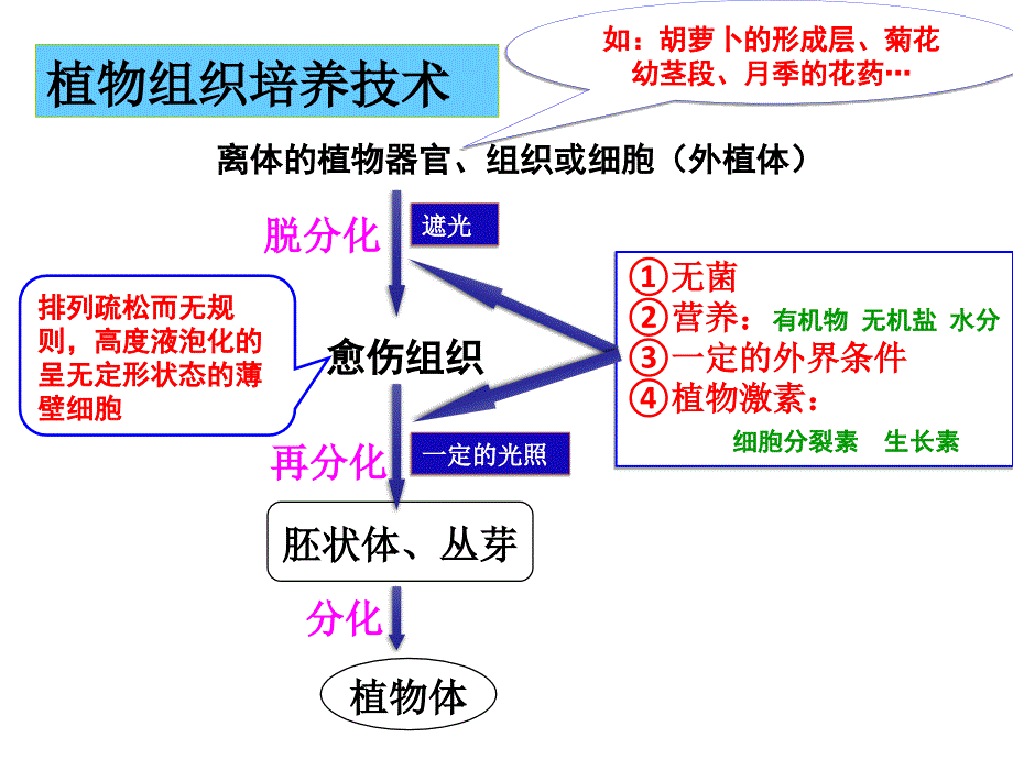 2.1.2植物细胞工程的实际应用2_第2页