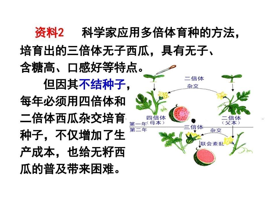 2.1.2植物细胞工程的实际应用2_第5页