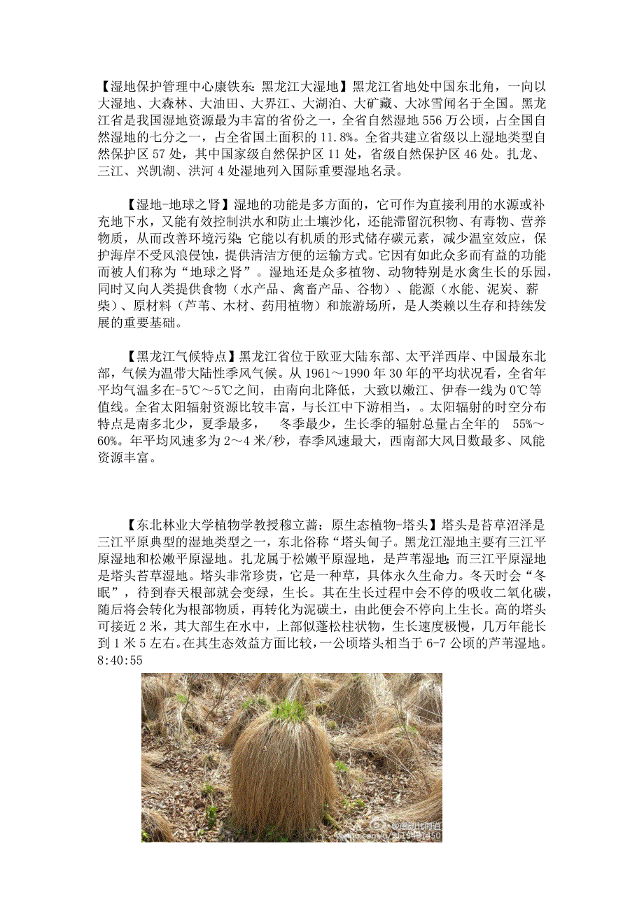 东北三省材料_第1页