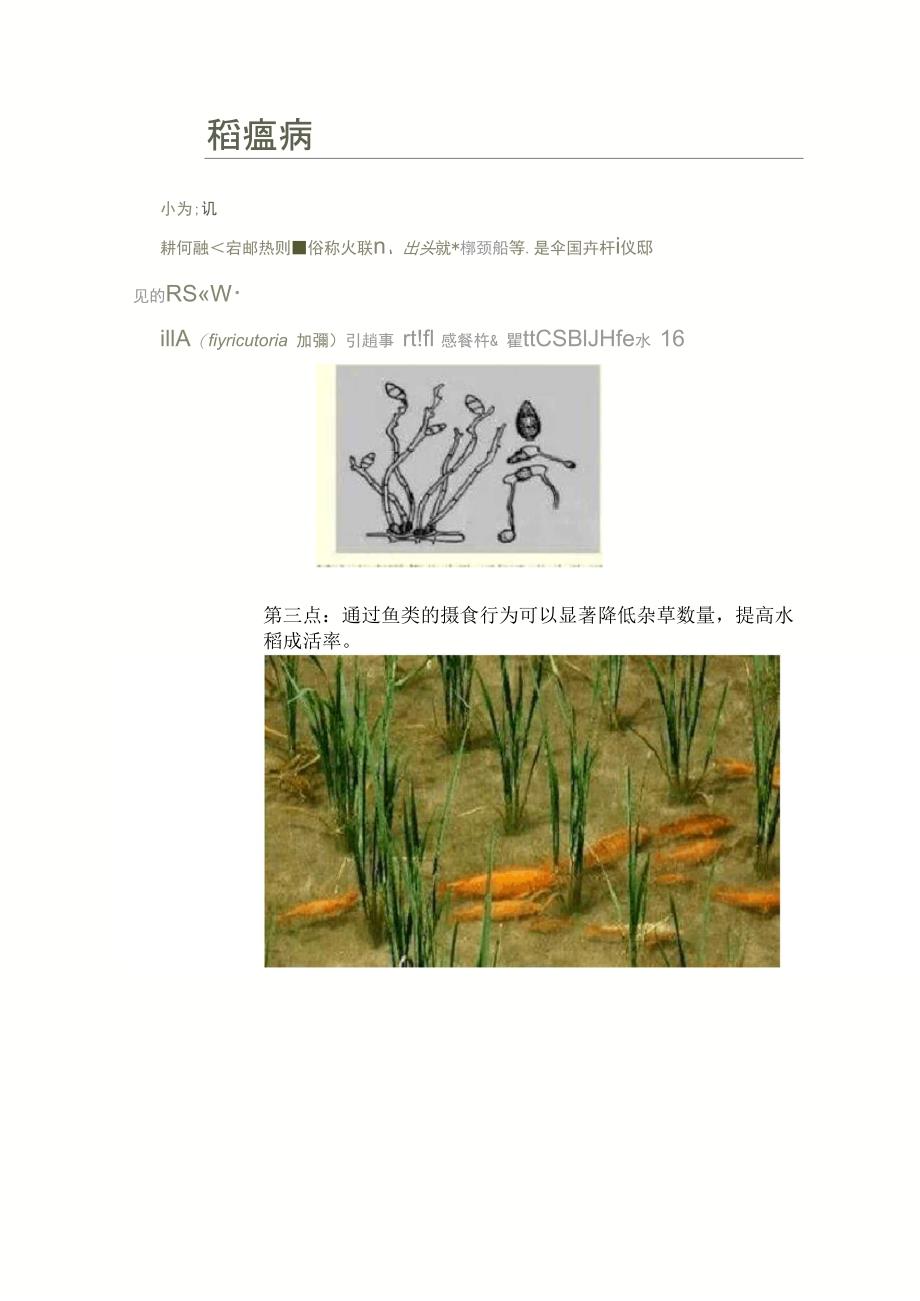 稻田养鱼生态学原理的有力证据_第2页