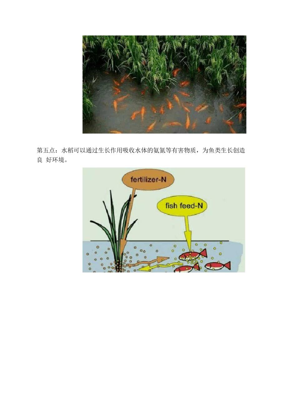 稻田养鱼生态学原理的有力证据_第4页