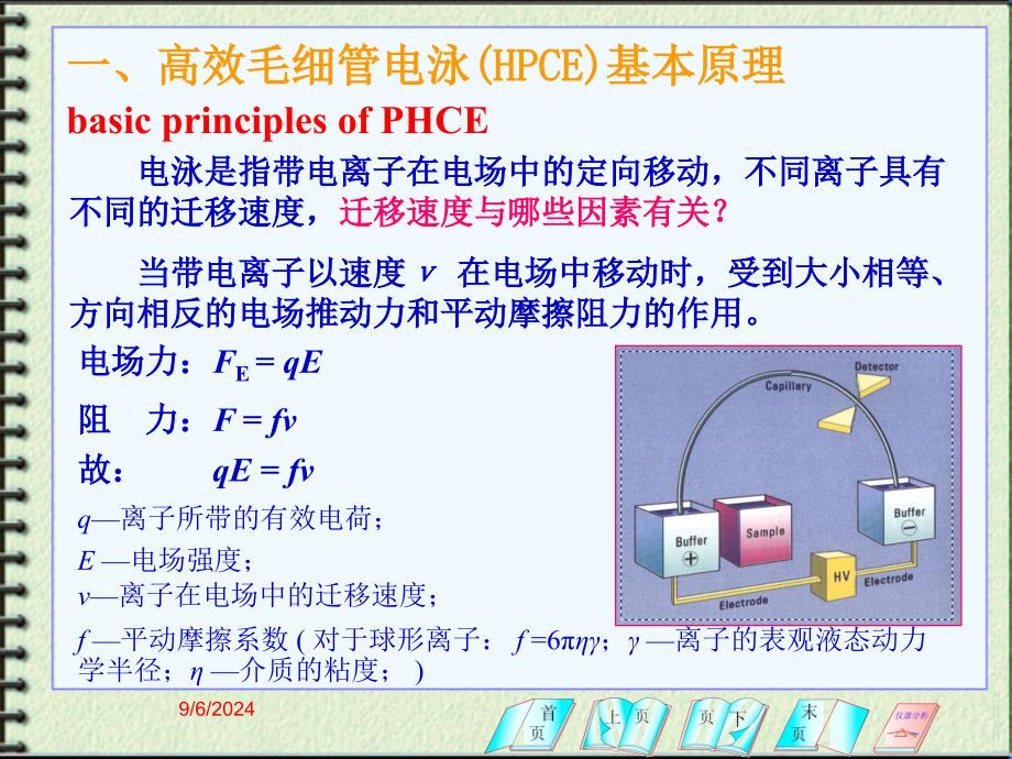 第十一部分高效毛细管电泳分析法教学课件名师编辑PPT课件_第2页