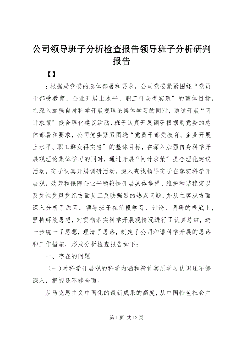 2023年公司领导班子分析检查报告领导班子分析研判报告.docx_第1页