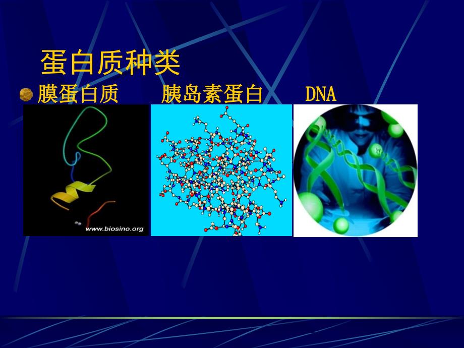 《生命的基础—蛋白质》课件2_第4页