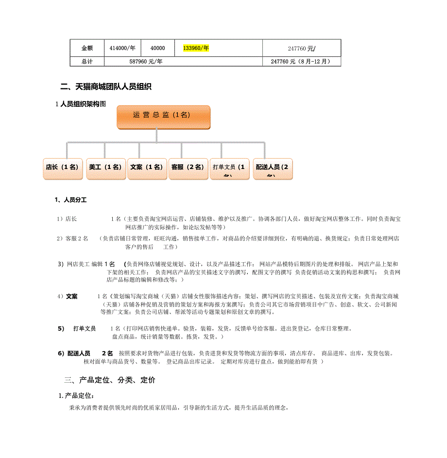 天猫商城运营方案书_第4页