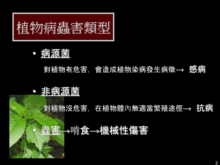 植物面对病虫害的防御机制课件_第2页