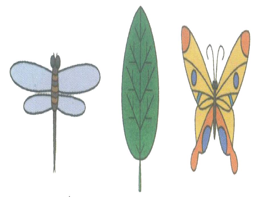 最新小学二年级数学对称课件._第4页