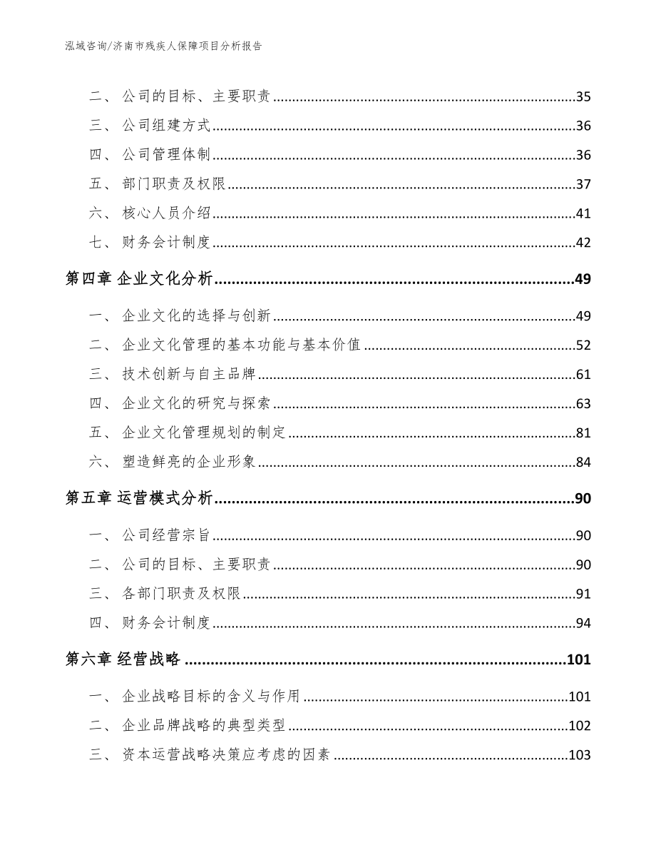 济南市残疾人保障项目分析报告范文_第2页