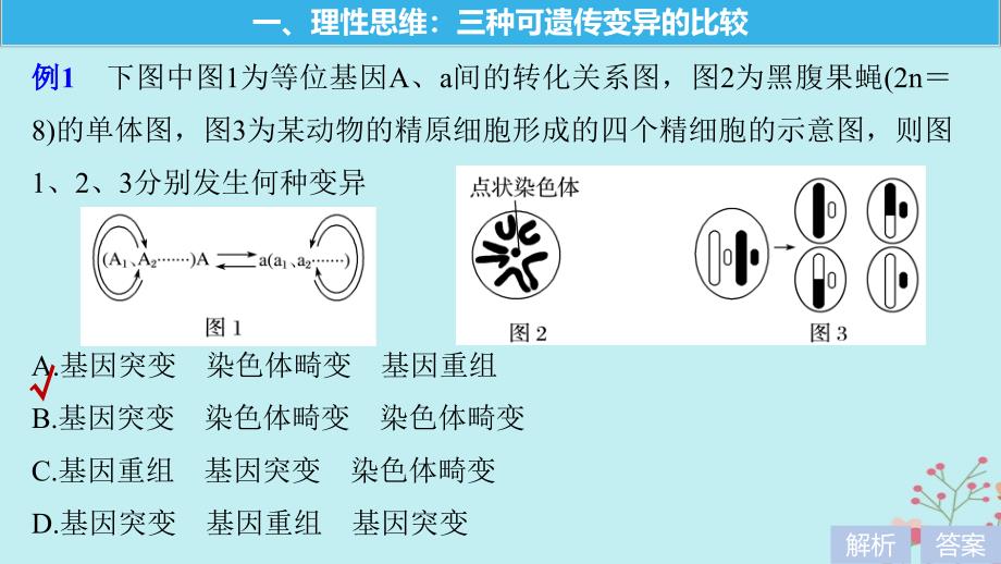 高中生物第四章生物的变异微专题五生物的变异的解题方法课件浙科版必修2_第5页