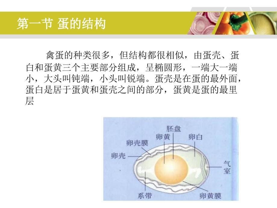 第九章禽蛋制品_第5页