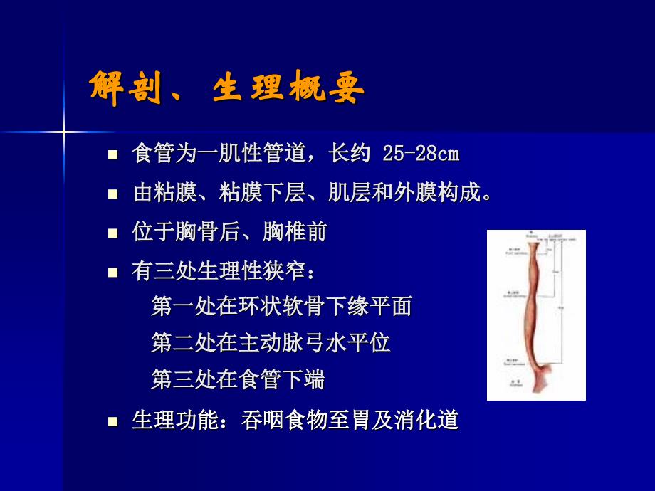 食管癌病人的护理_第3页