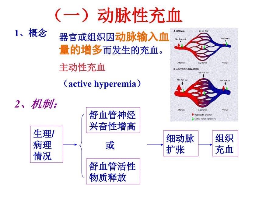 第三章局部血液循环障碍课件_第5页