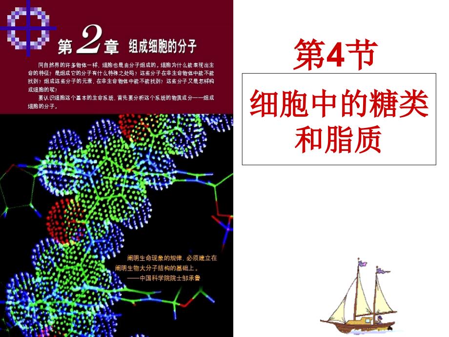 人教版高中生物课件：细胞中的糖类和脂质_第1页