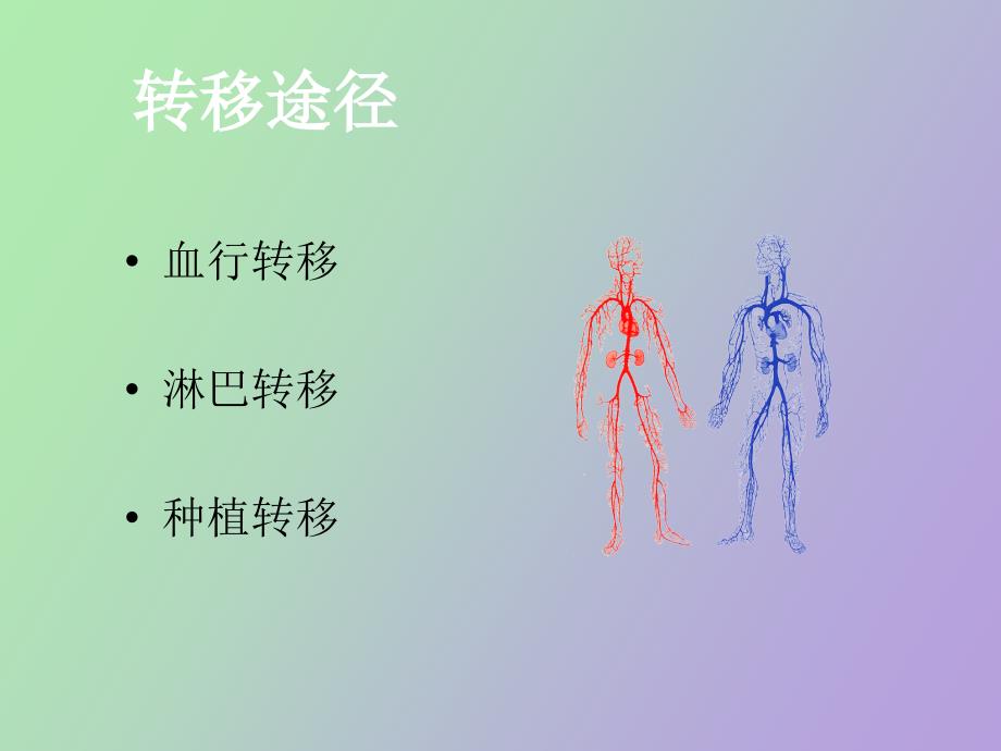 结直肠癌肺转移_第4页