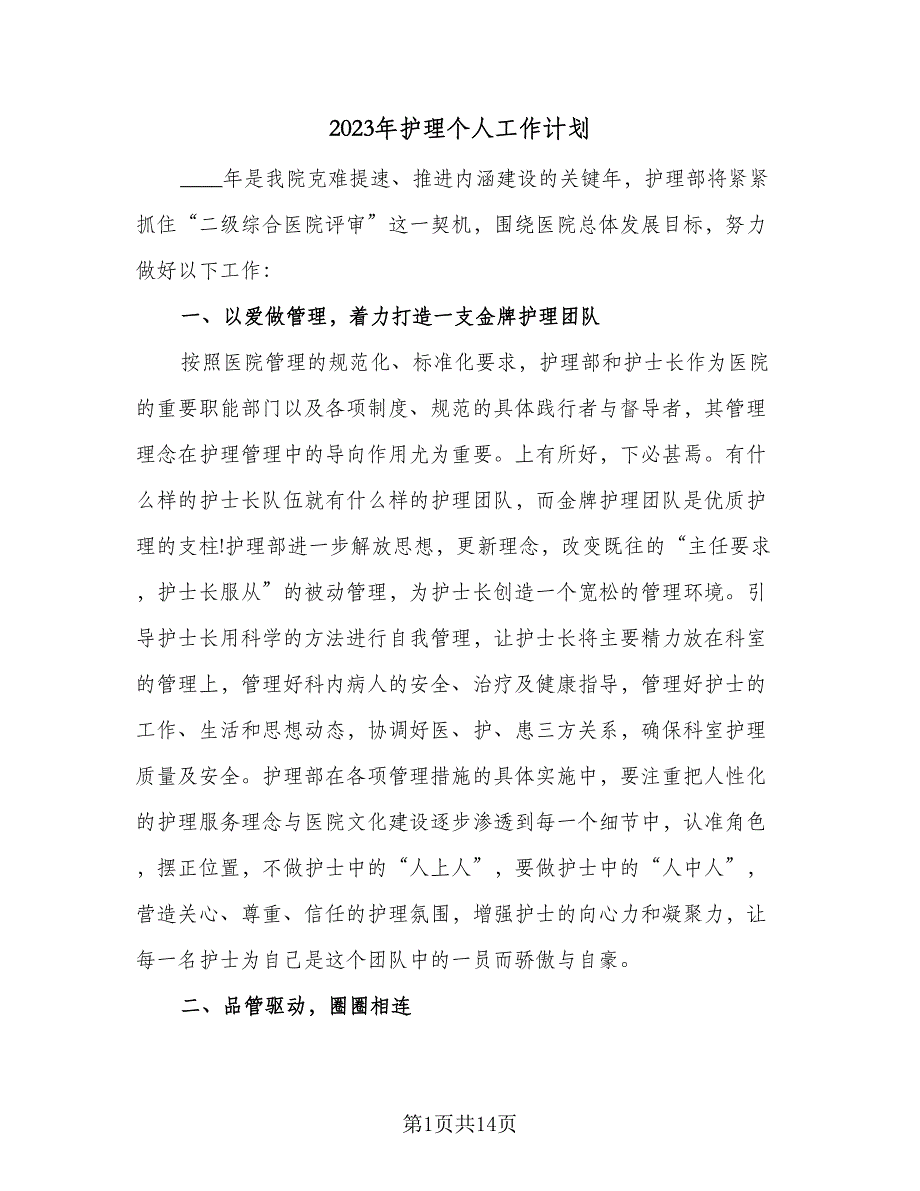 2023年护理个人工作计划（4篇）_第1页