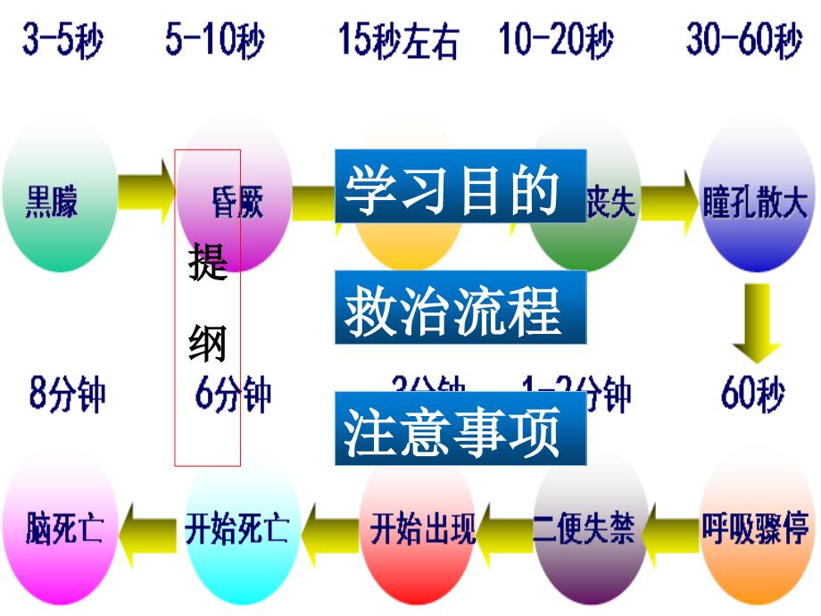 心跳骤停抢救培训课件普及版ppt_第2页