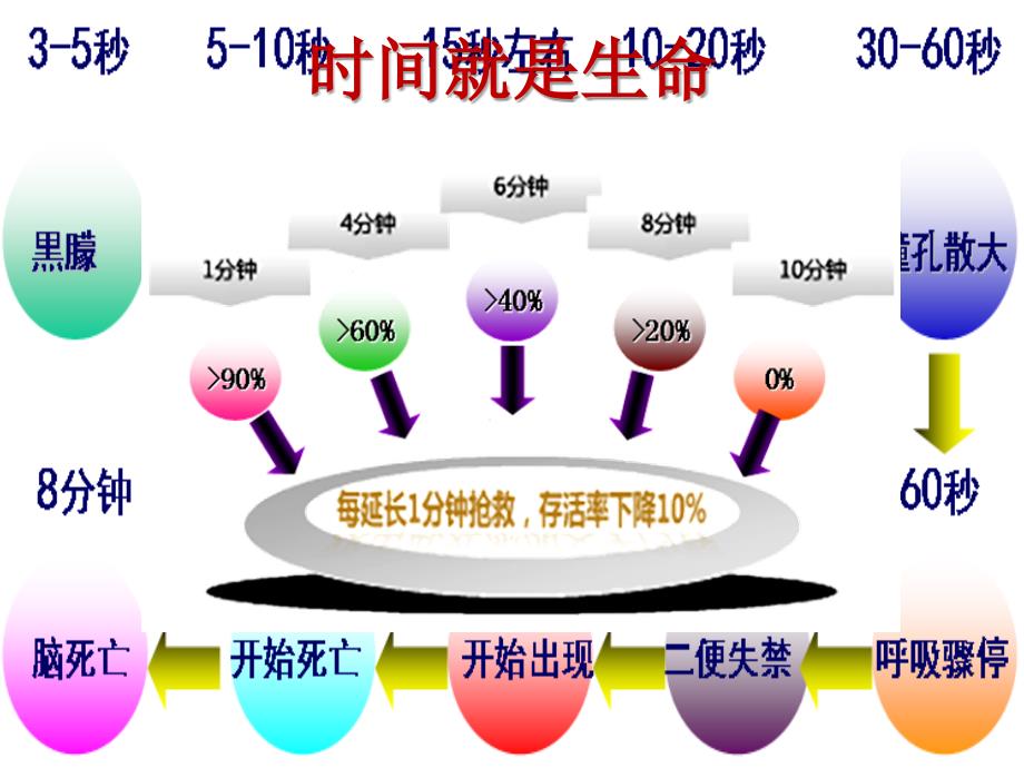 心跳骤停抢救培训课件普及版ppt_第4页