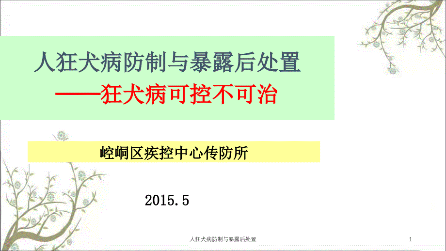 人狂犬病防制与暴露后处置_第1页