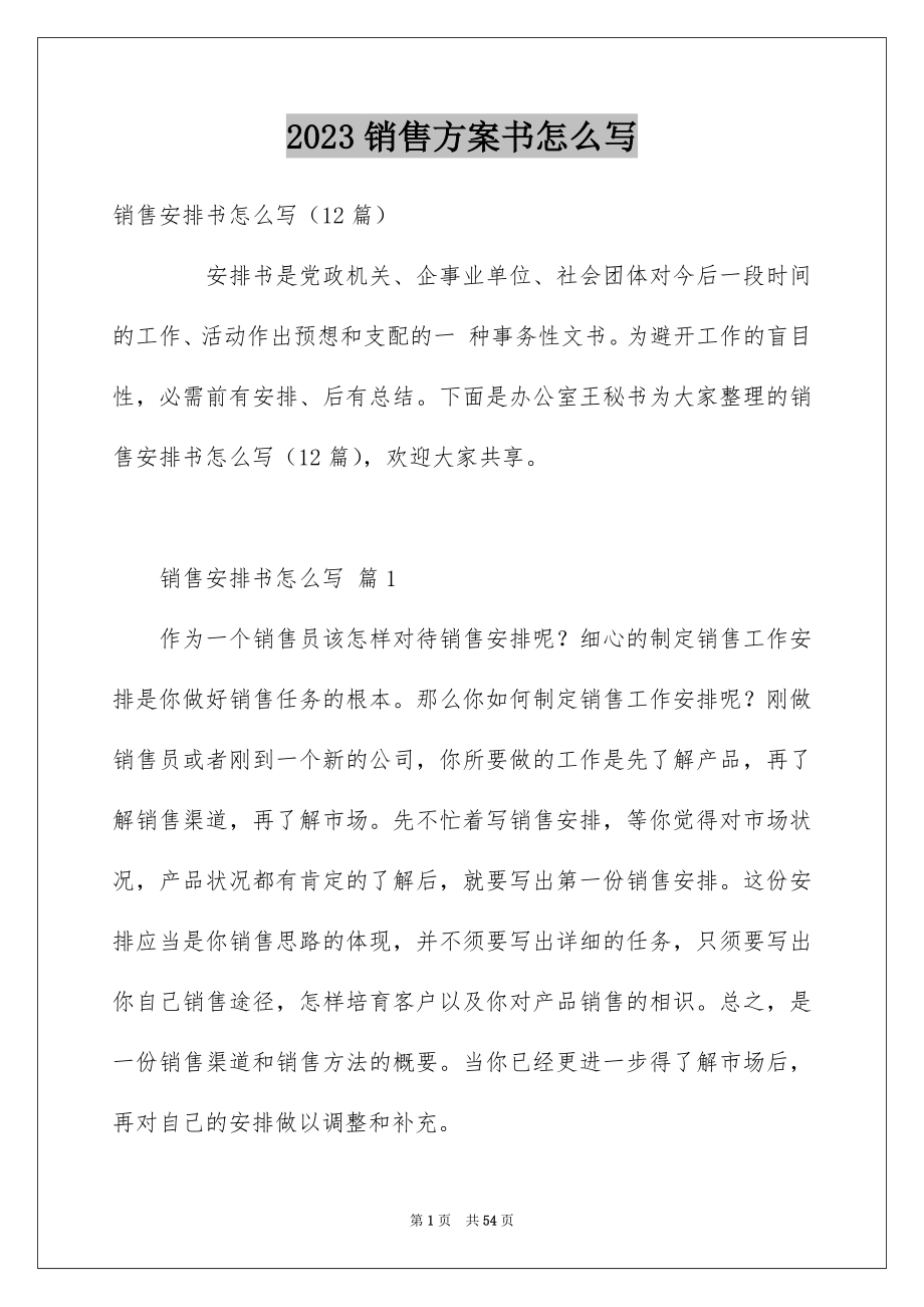 2023年销售计划书怎么写范文.docx_第1页