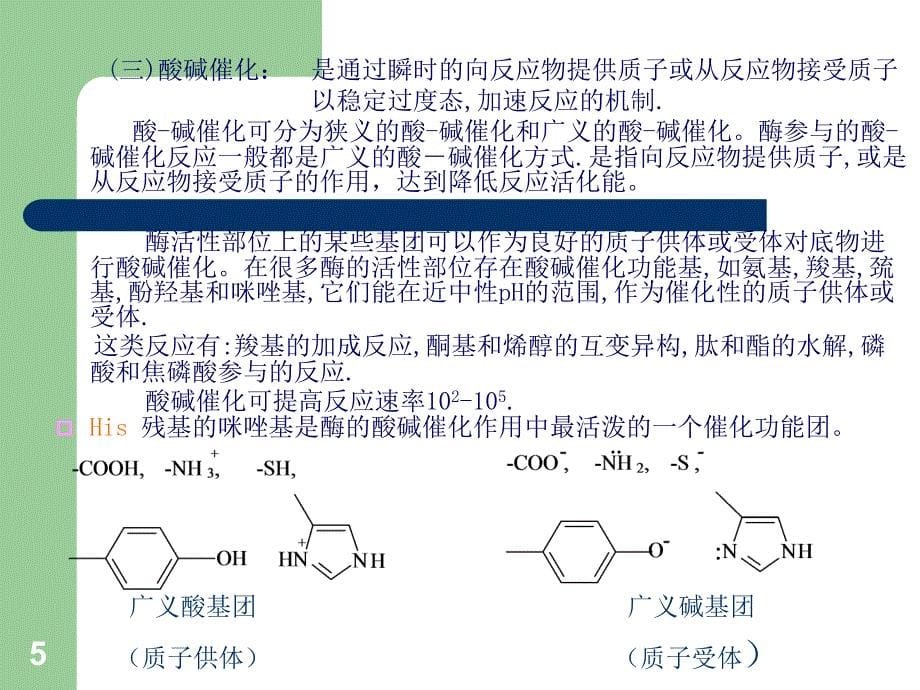 酶的作用机制和酶的调节_第5页