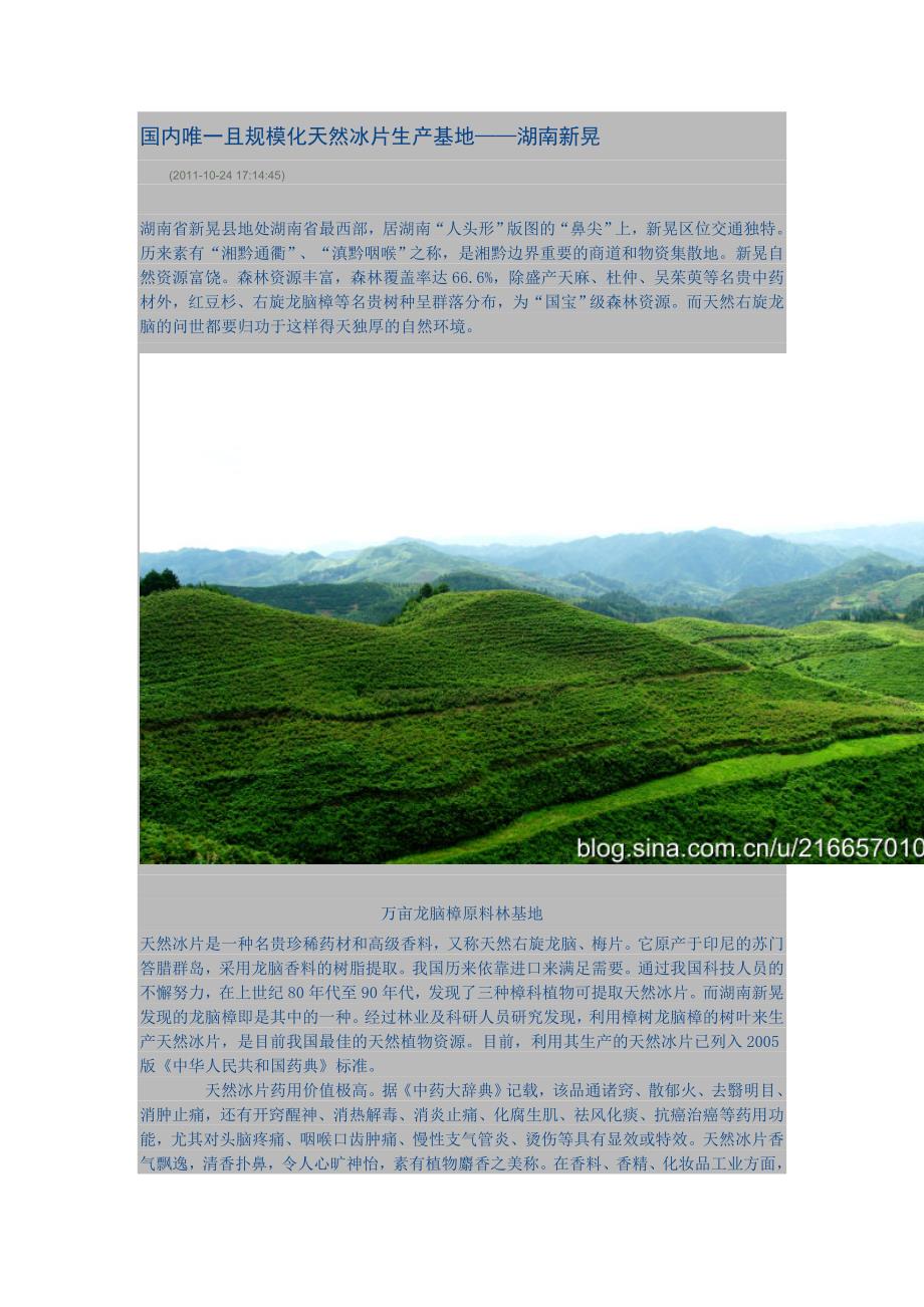 国内唯一且规模化天然冰片生产基地_第1页
