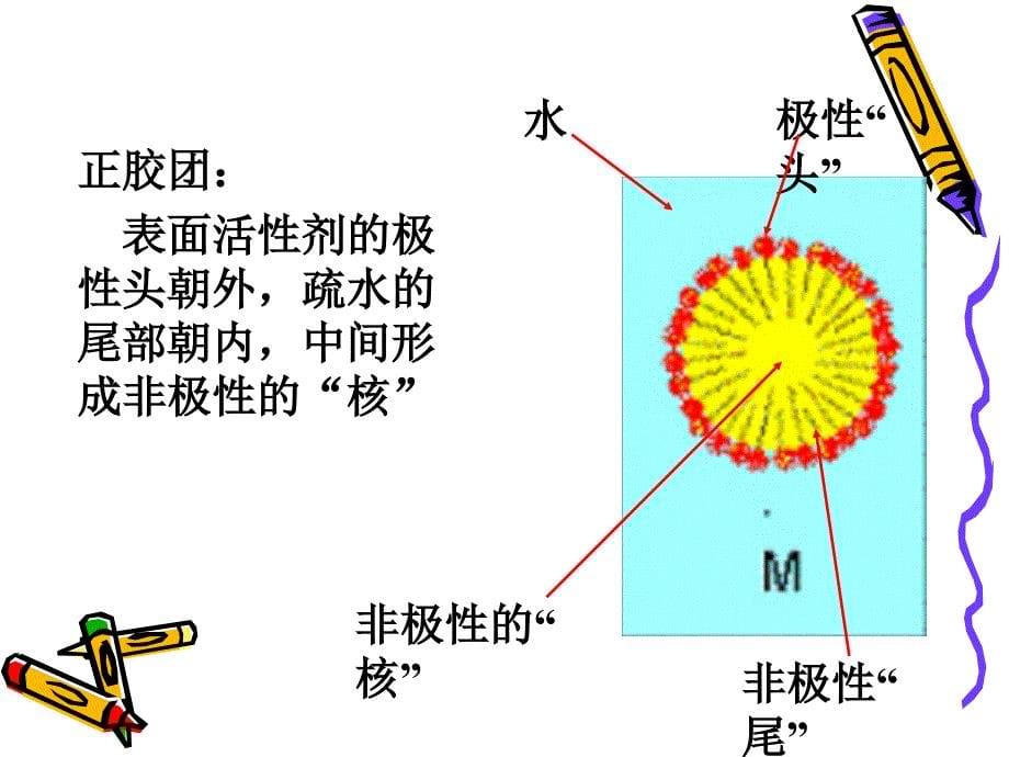 胶团反胶团萃取_第5页