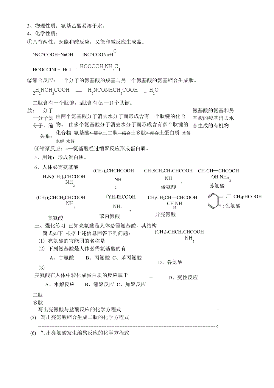 生命的基础——蛋白质_第3页