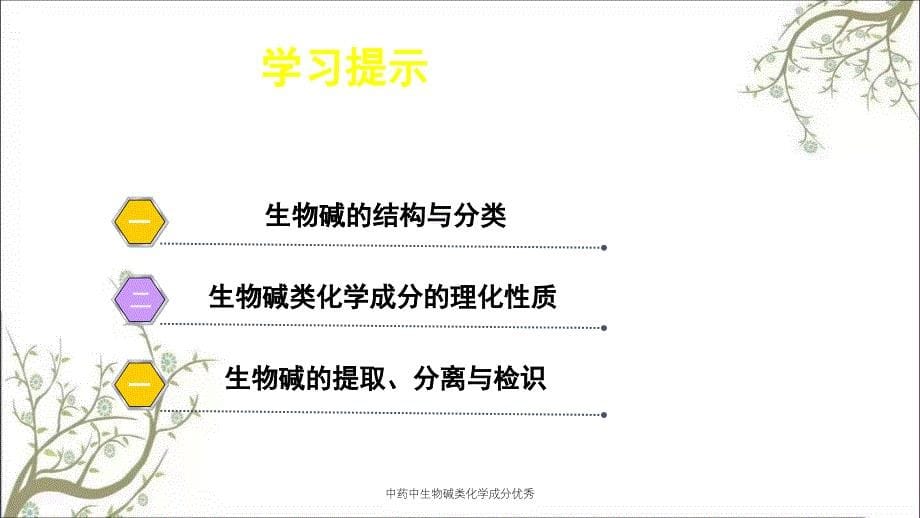 中药中生物碱类化学成分优秀_第5页