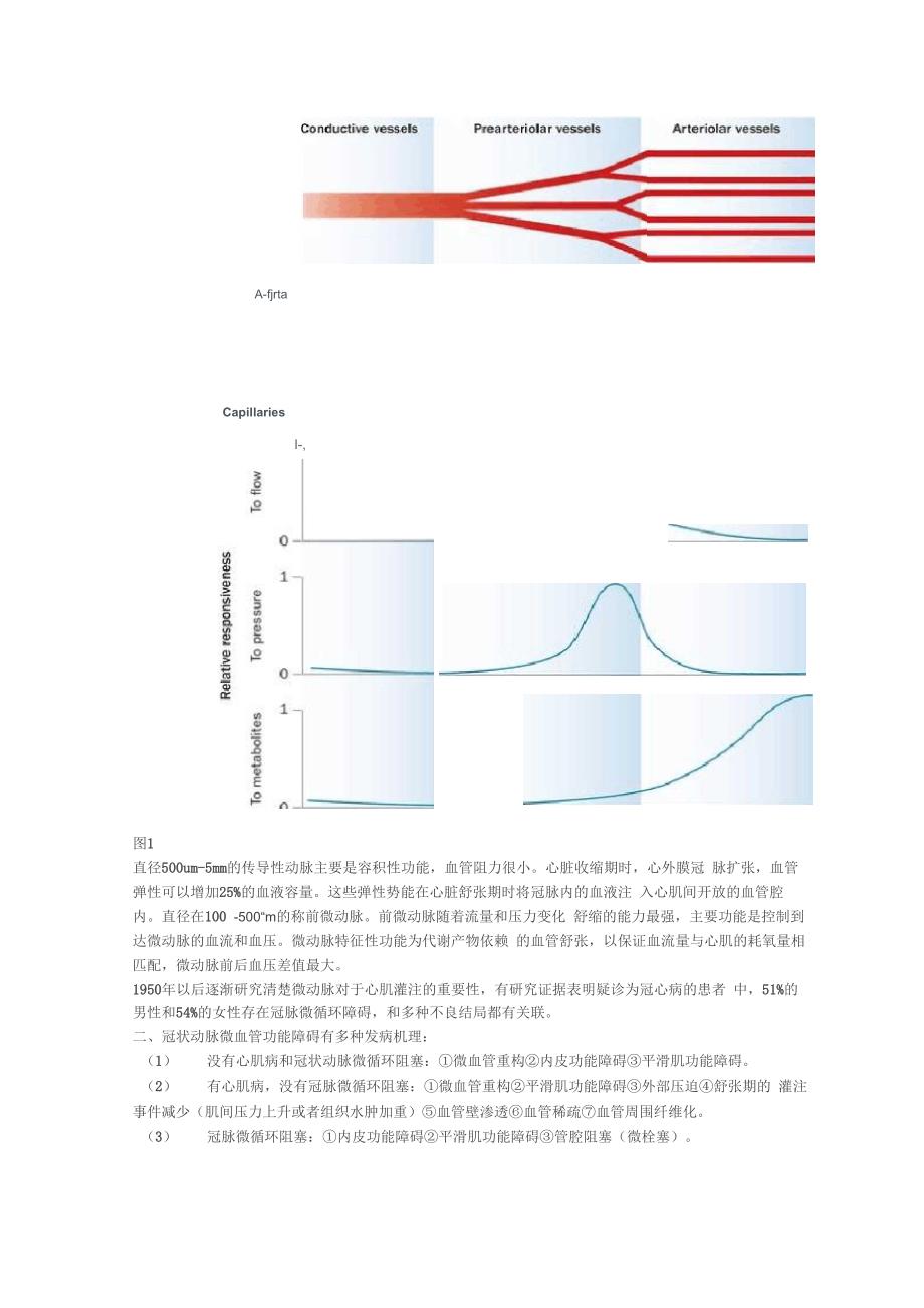 聚焦冠脉微循环_第2页