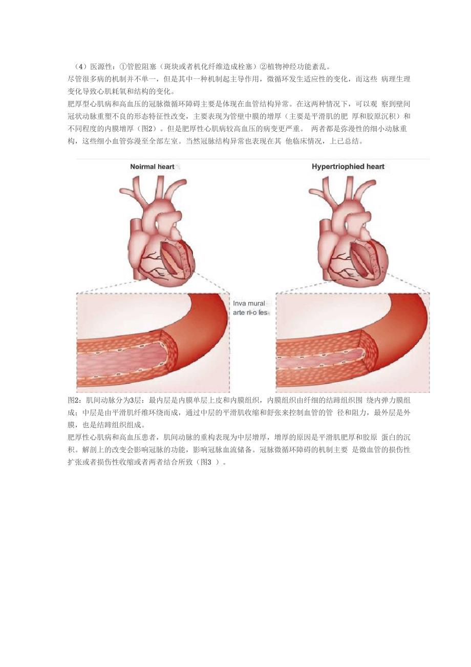 聚焦冠脉微循环_第3页