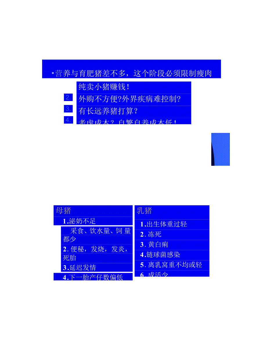 母猪的营养与饲养管理_第3页