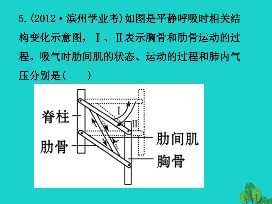 山东省邹平县实验中学七年级生物下册 3.3.3 物质运输的途径课件 （新版）济南版_第3页