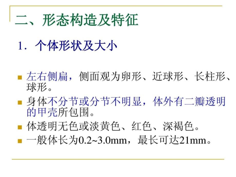 水生生物学枝角类.ppt_第3页