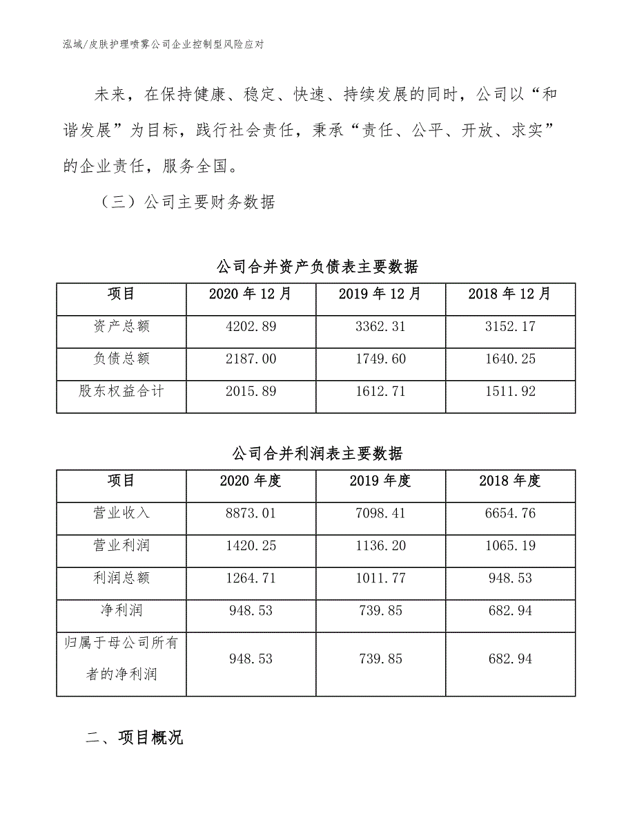 皮肤护理喷雾公司企业控制型风险应对_第3页