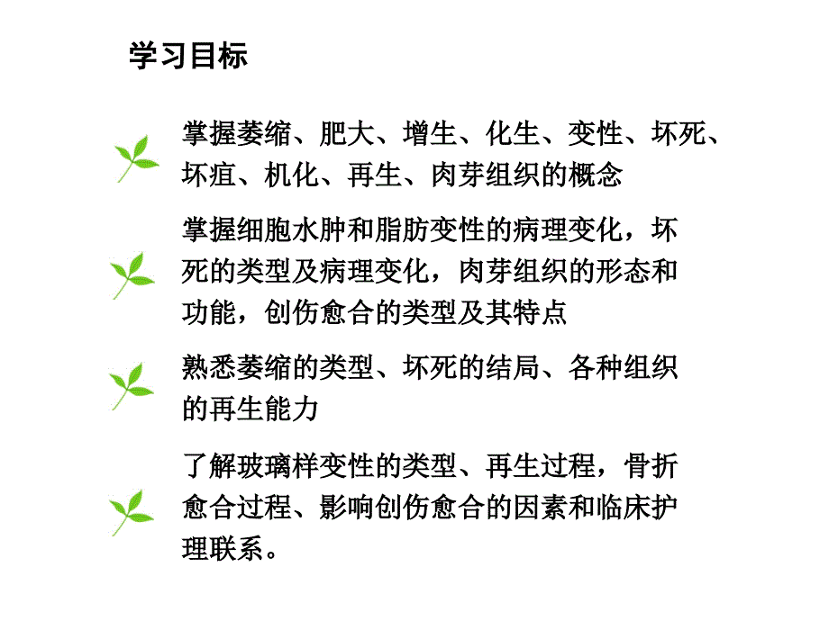 细胞组织的适应损伤与修复ppt课件_第3页