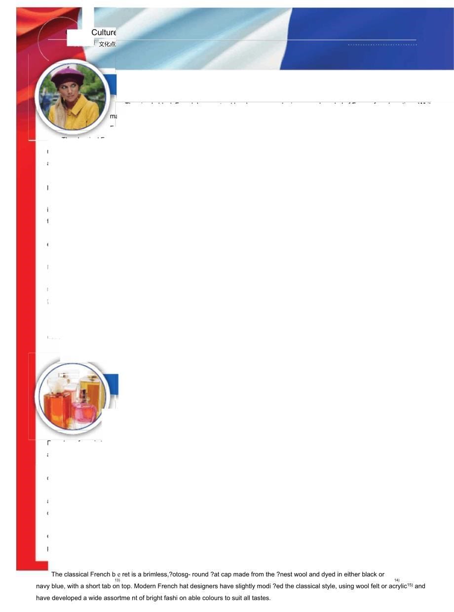 法国的文化符号_第5页