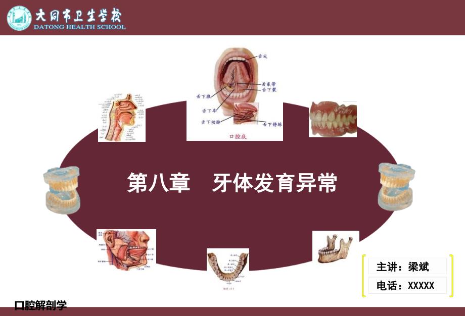 第八章牙体发育异常_第1页