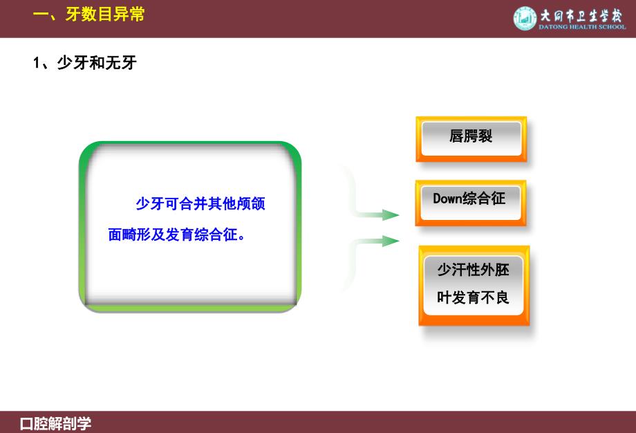 第八章牙体发育异常_第4页