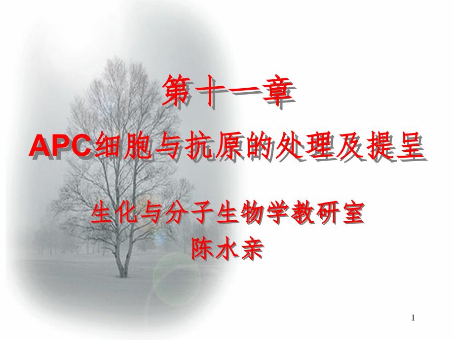 APC与抗原的处理及提呈PPT课件_第1页