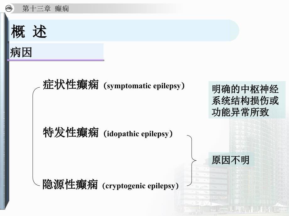 神经学癫痫课件PPT文档_第5页