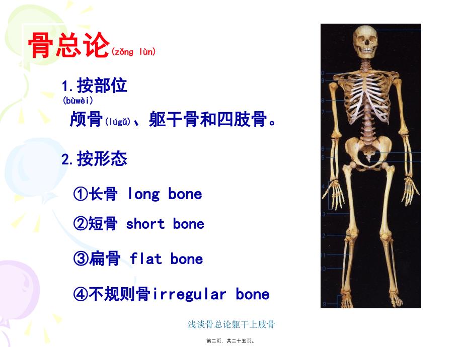 浅谈骨总论躯干上肢骨课件_第2页